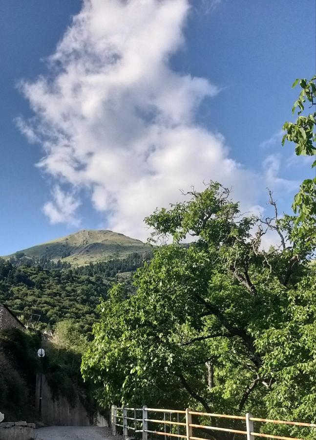 Appartamento Το Σπίτι Της Ευτυχίας Στούντιο Karpenísion Esterno foto